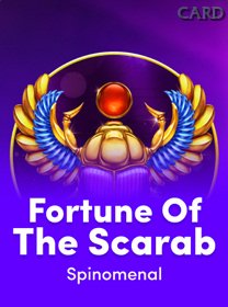 Fortune Of The Scarab game cover
